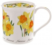 BUTE Spring Flowers Narcissus - porcelana