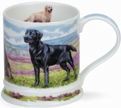 IONA Country Dogs Labradors - porcelana