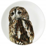 Talerz "Tawny Owl" 20cm