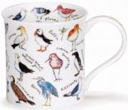 BUTE Birdlife Coastal Birds - porcelana