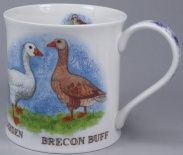 WESSEX Traditional Farm Breeds Duck - porcelana
