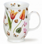 SUFFOLK Flowering Bulbs Tulip - porcelana