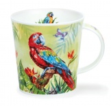 CAIRNGORM Amazonia Macaw - porcelana