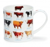 ORKNEY On the Farm Cows - porcelana