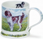 Iona_Country Dogs Springer_.jpg