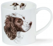 Orkney Hannah Longmuir Dog Collection springer spaniel