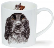 Orkney Hannah Longmuir Dog Collection cocker spaniel